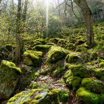 Área de calistenia al aire libre en Ames